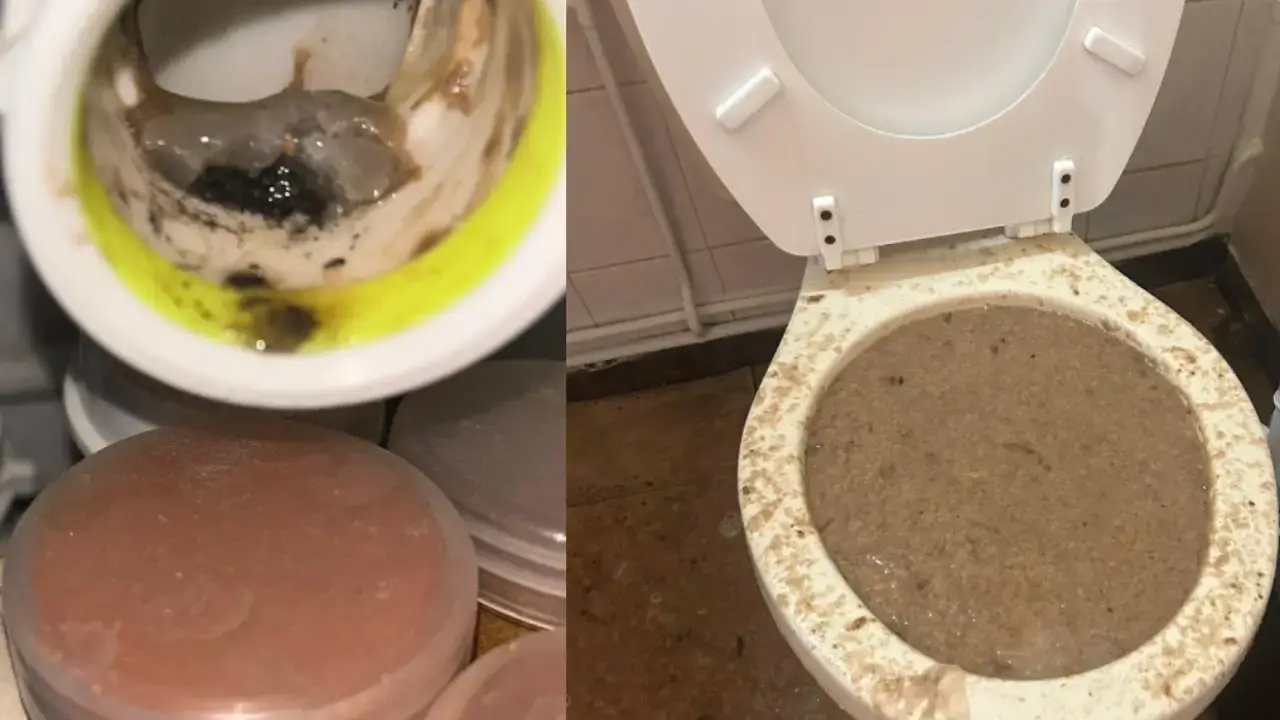 WC bouché Orry-la-Ville 60560